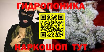 прущий лед Пугачёв