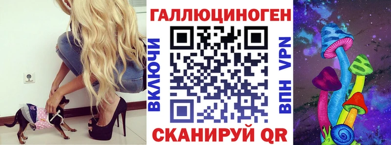 Галлюциногенные грибы Psilocybe  Новозыбков 