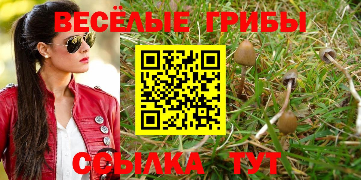 Псилоцибиновые грибы мухоморы Новозыбков
