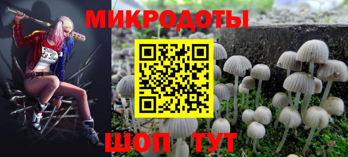 Галлюциногенные грибы MAGIC MUSHROOMS  Вход с VPN  Новозыбков 